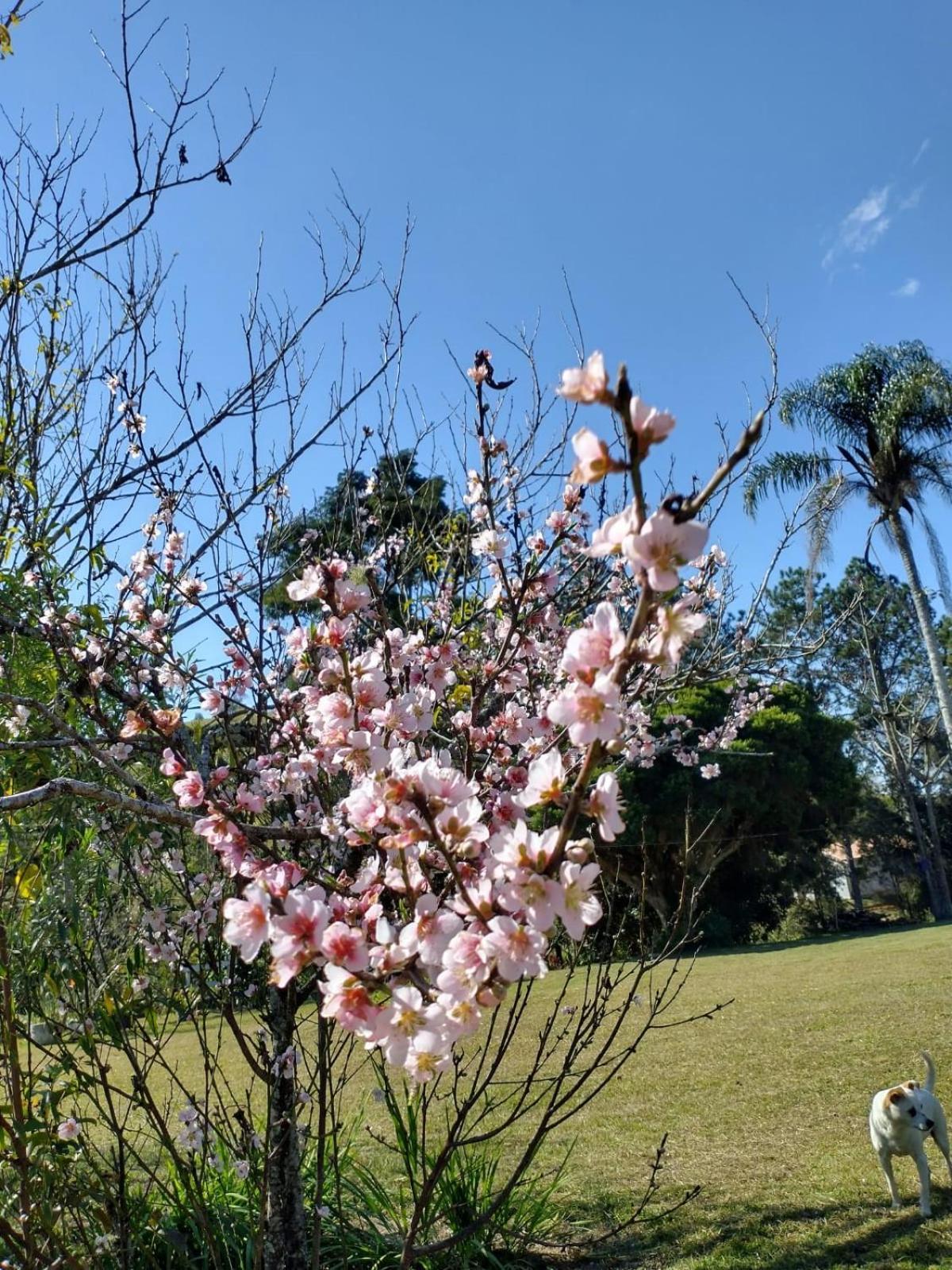 Espaço Benviver Guaratinguetá Exterior foto