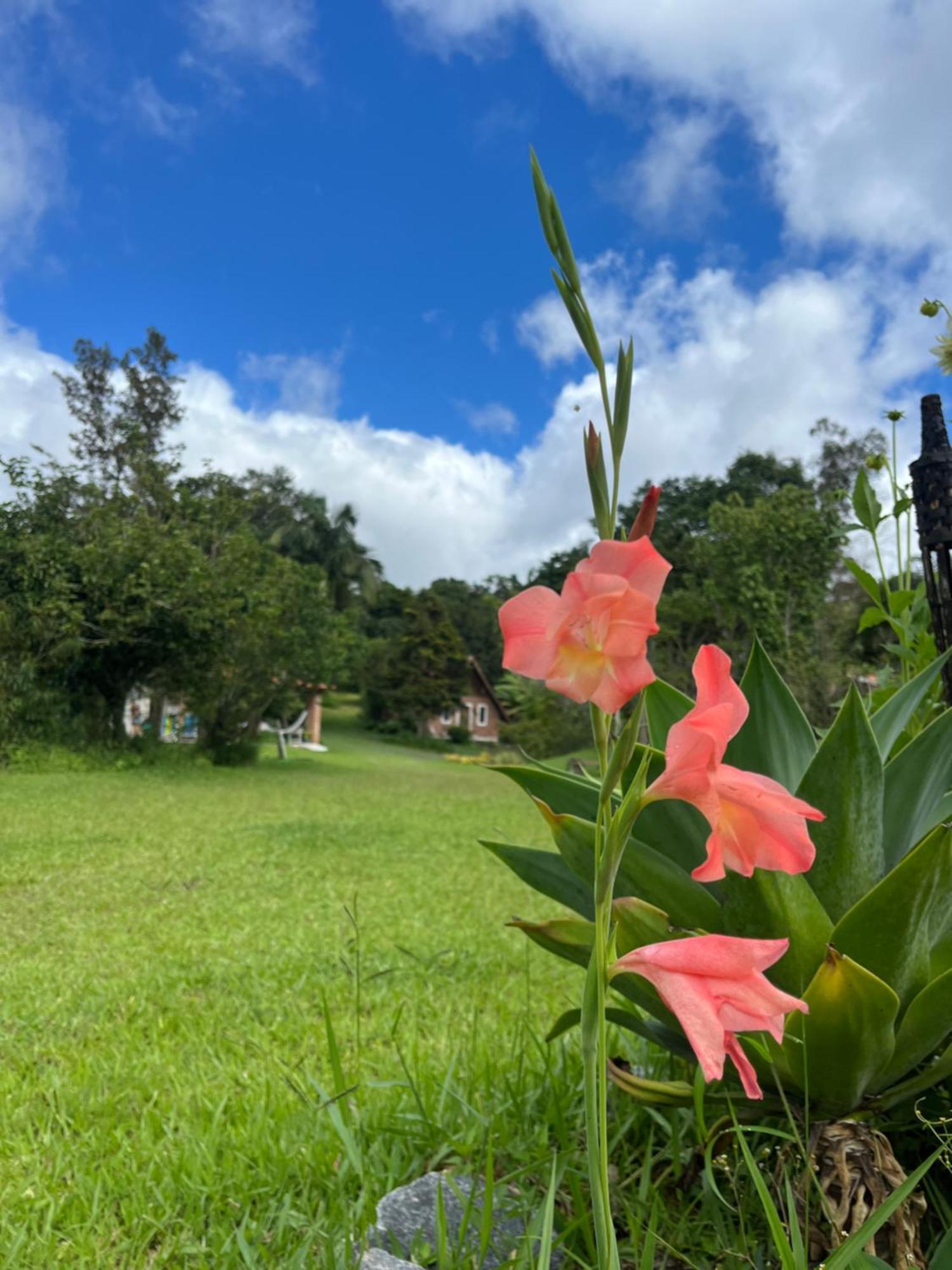 Espaço Benviver Guaratinguetá Exterior foto